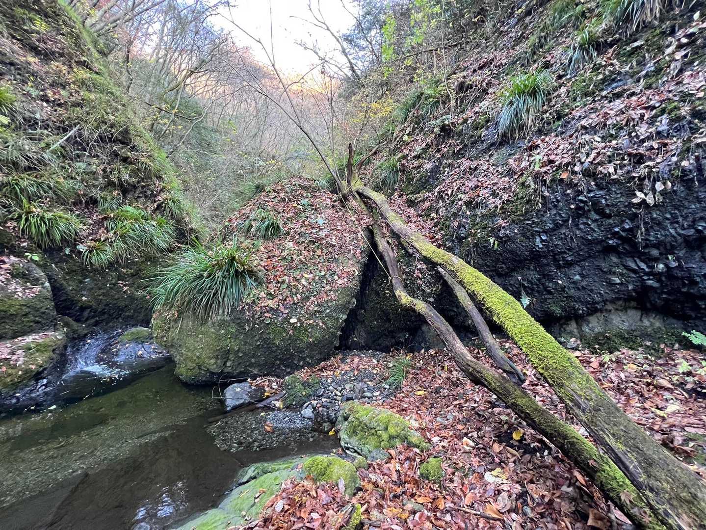 篭岩 周回コースの写真