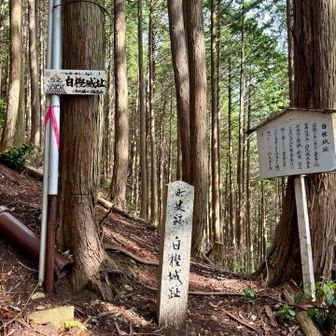 城趾を示す石碑

斜面の途中に、城趾があるとは思えないのですが。