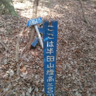 この辺りから100kマラソンの話が盛り上がって来ました🏃‍♂