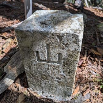 分岐まで戻って目丸山へGO