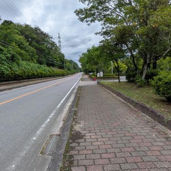 しばし舗装路を歩いてゴール