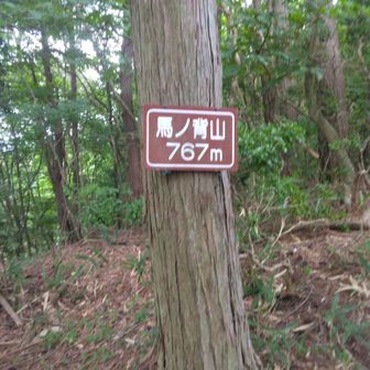 馬の背山767m🙌