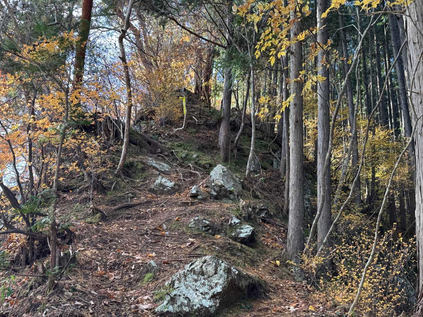 まだ続く急登💦ちょっとひと休み😮‍💨
一枚脱いで💧ネックウォーマー取って💧帽子取って汗フキフキ💦一気に🧃グビグビ😵