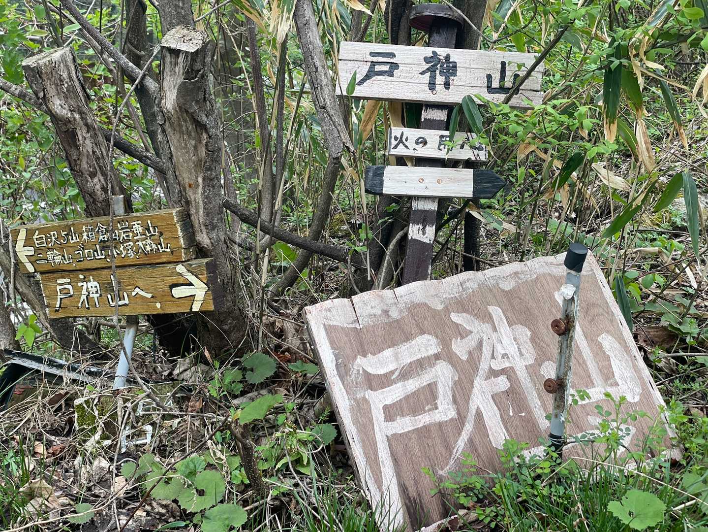 戸神山 往復コースの写真