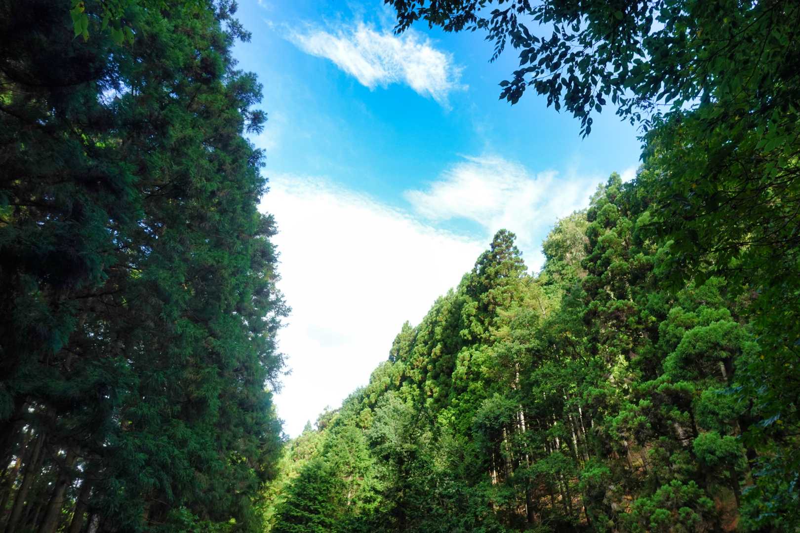 今日は青空なしかと思っていたら、ここまで降りたら晴れ間も見えてきました。