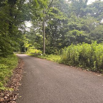 鎌北湖への道路にもどって。

ここを右に寄り道。