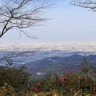 大阪側の眺望①