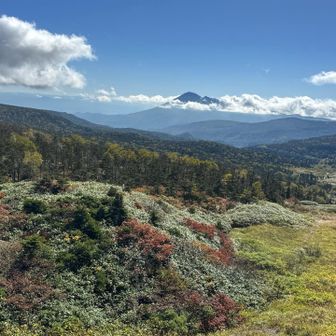 岩手山を眺め
