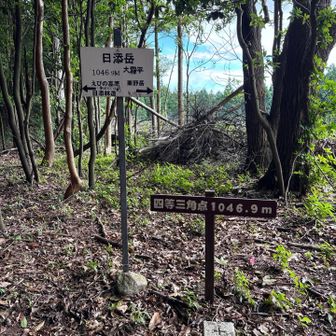 3年以上ぶりに日添岳に来た　こんなに明るかったか⁈ 山頂はもっと木に覆われていたというか森の中だった気がするが…
今日は栗野岳には行きません