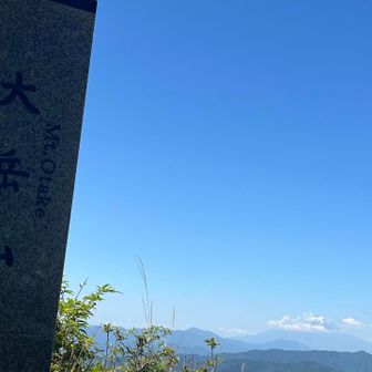 大岳山も虫多め
季節柄しかたなしだが
ずっと側でホバリングされると困る