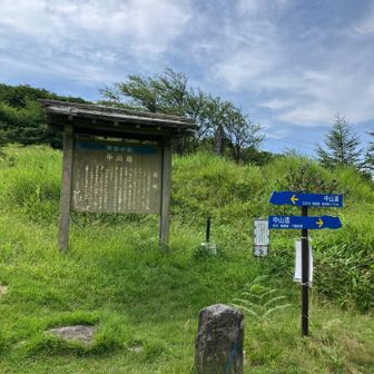 和田峠(古峠)🪧