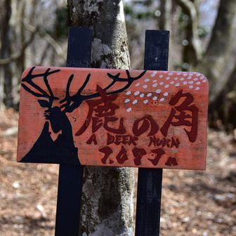 角🦌