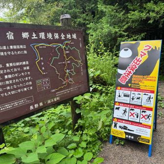 熊怖いです😓