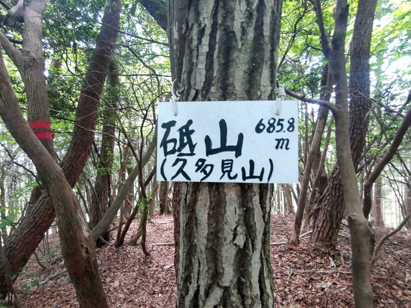 標識はシンプルですが、味があるね🤔