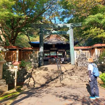 金崎宮