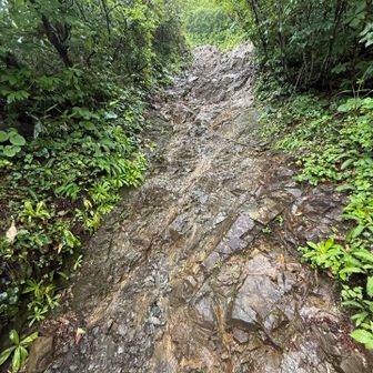 難所の岩場も川状態です❗️