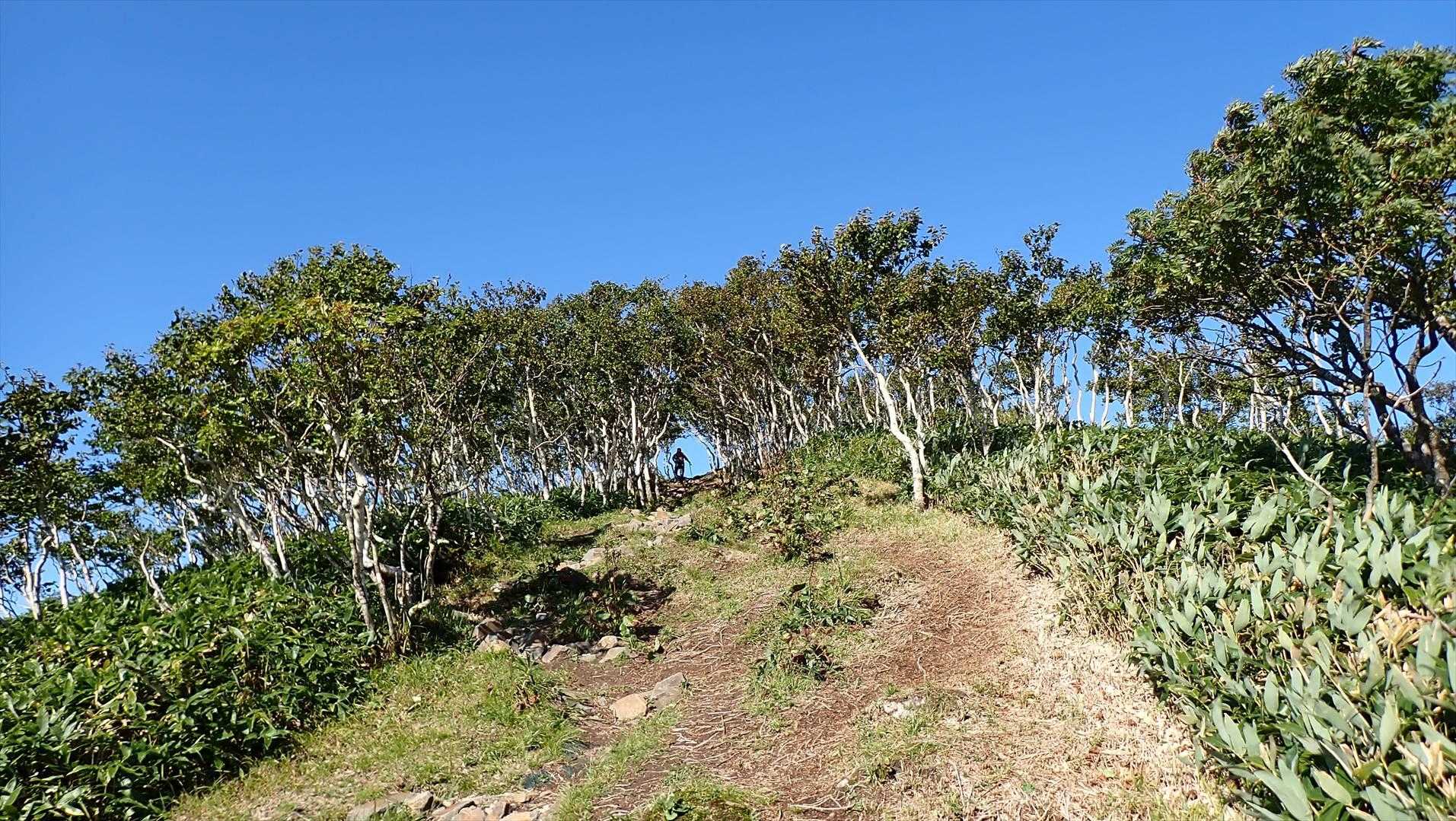 リスケ山-西別岳-摩周岳 往復コースの写真