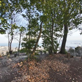 ほぼ山頂の宇佐山テラス（宇佐城 三の丸）