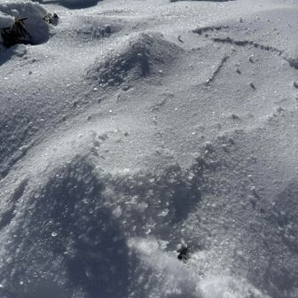 キラキラ輝いてキレイ😍