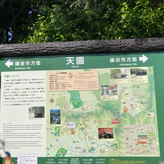 天園登頂！
マップ上の標識しかないので少し肩すかしでした😅