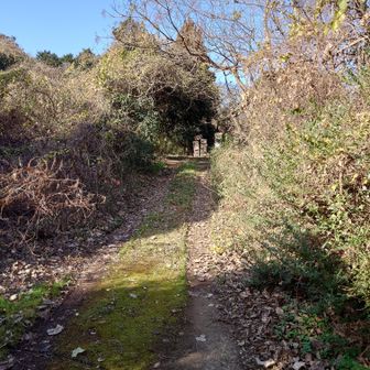 円海山山頂へのアプローチの筈なんですが...