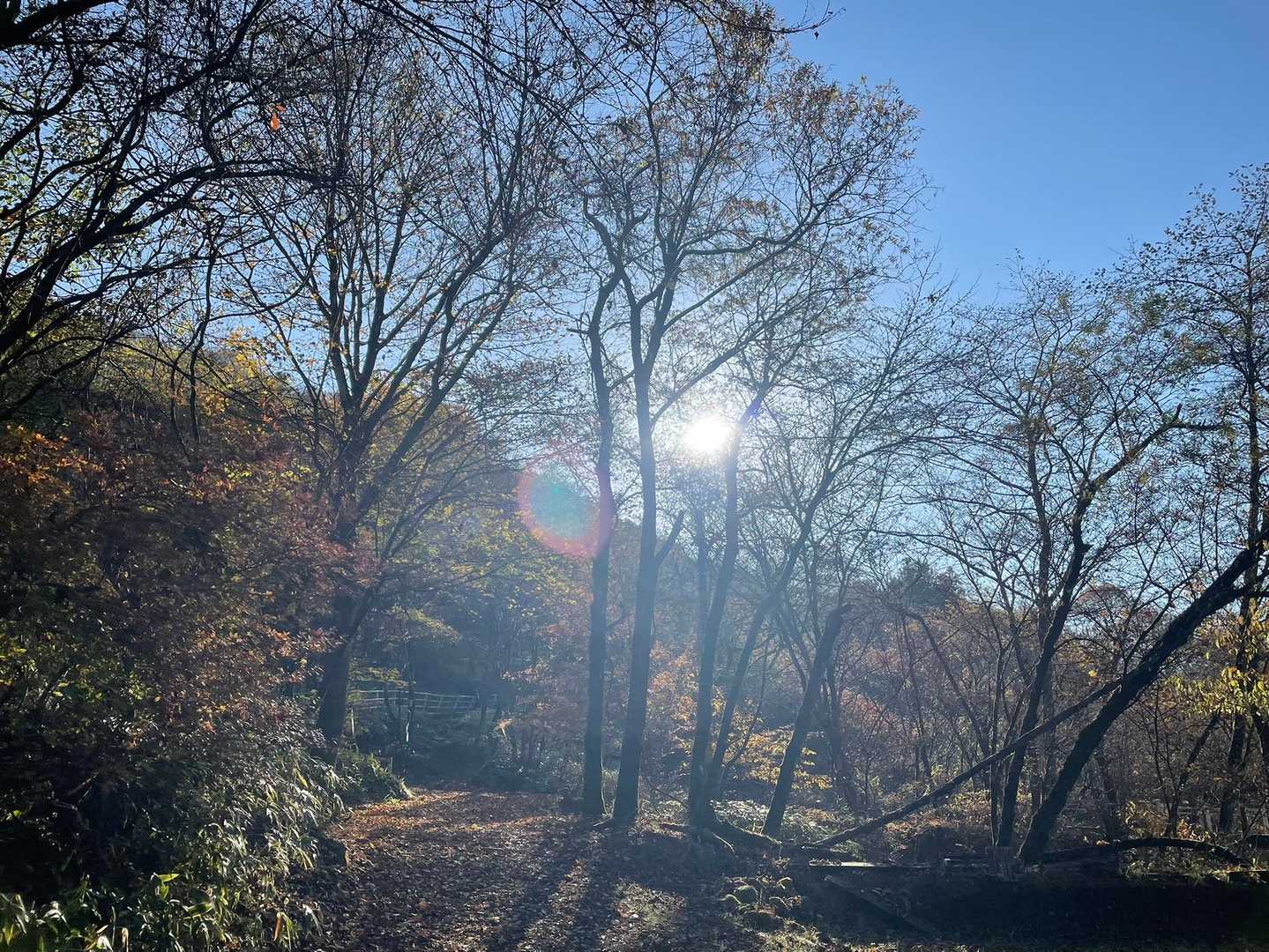 今日もー…
レーハー☀️です😆♪