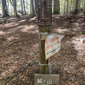 扇ノ山久々すぎるんよ💗
前回は7年前😂leeを初めて登山に誘ったお山です⛰️まあ、帰り道ルート誤ってこの大石ルートを降りてしまった苦い記憶😂とは言えブーブー言ったのは、誤った自分という😂😂💦圏外か電波無さすぎて通信せず、地図なしでよく下山できたものだ🫪←