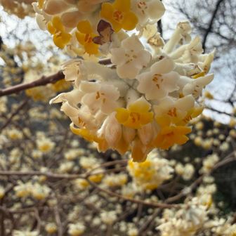 やっぱり可愛いなー