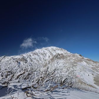 農鳥小屋から間ノ岳