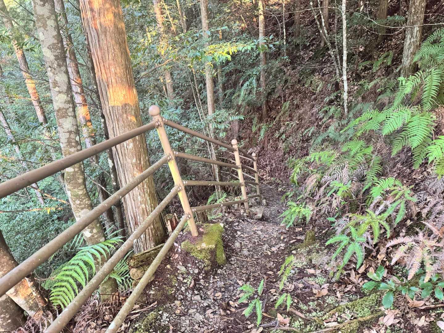 あれ？下ってる💦
絶対違う感じやん⁉️💦
