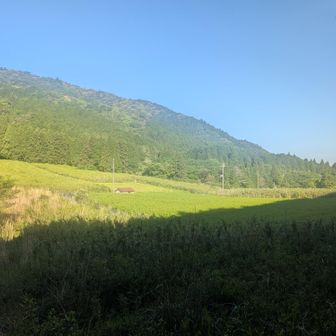 鈴鹿峠に着いた。
これまでとがらりと表情が変わり、天国に来たかと思った。
鈴鹿山脈が鈴鹿峠までとする説にも納得できる。