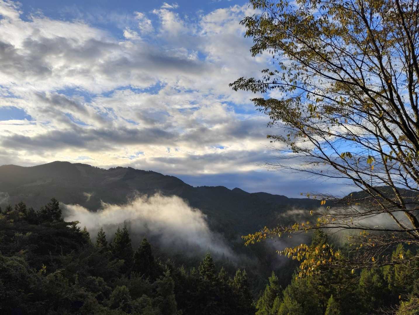 おはようございます。19℃と肌寒さを感じるとともに秋の訪れを感じます。