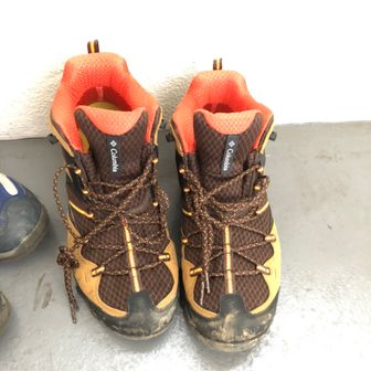 目指せクマおじさん