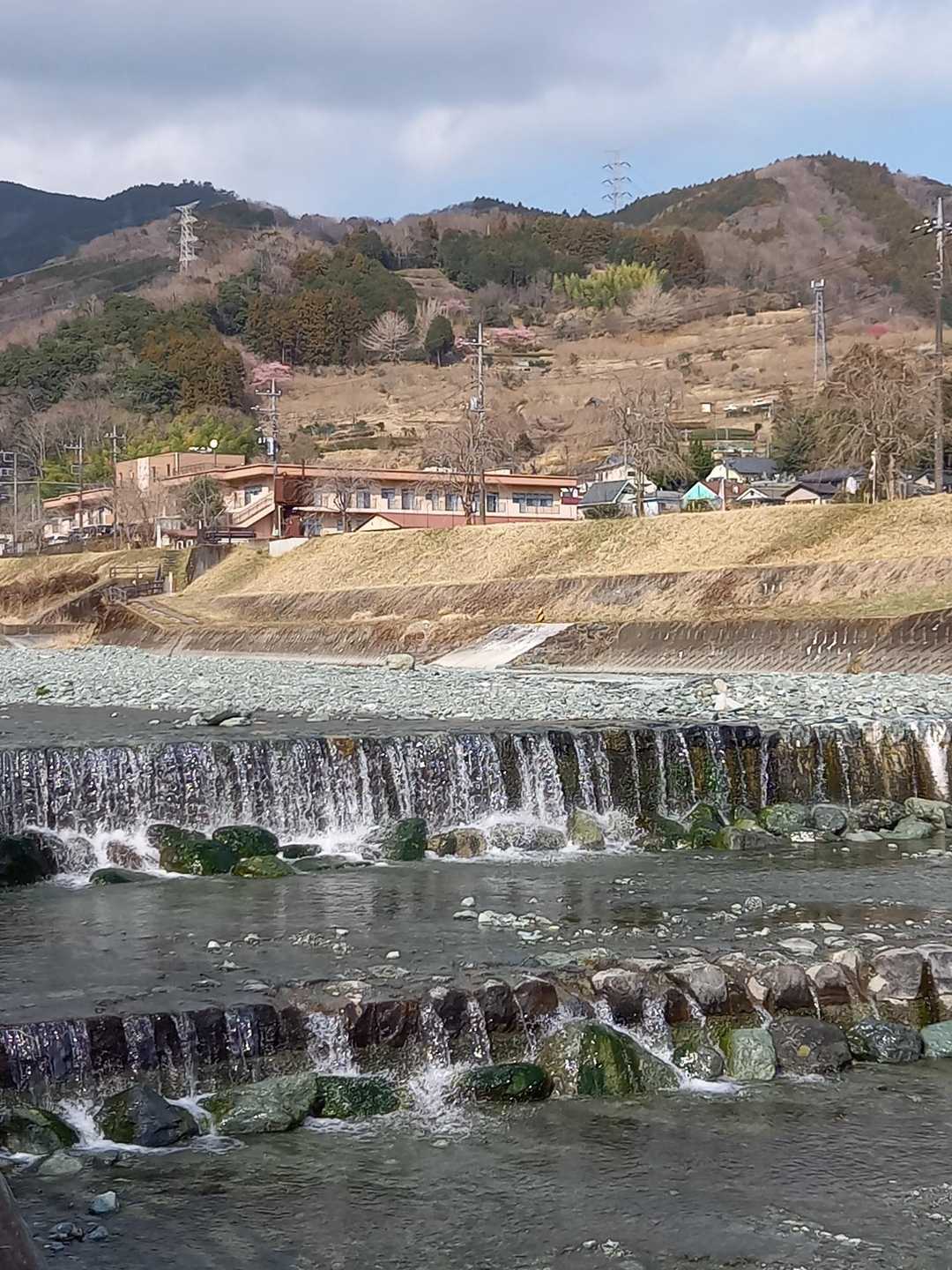 「雪が溶けて川になって流れてゆきます🎵」とキャンディーズの春一番を口ずさみ、先週は雪山を歩いたのよね…と丹沢の山々を眺めゴール🏁しました。