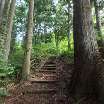 暑い・・・
