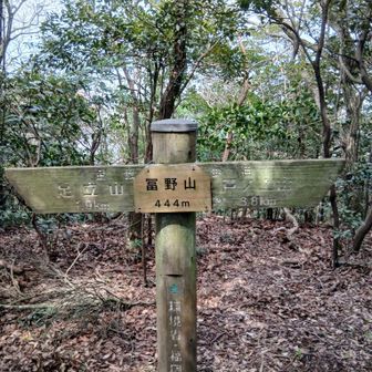 少し戻って冨野山に寄ってみた