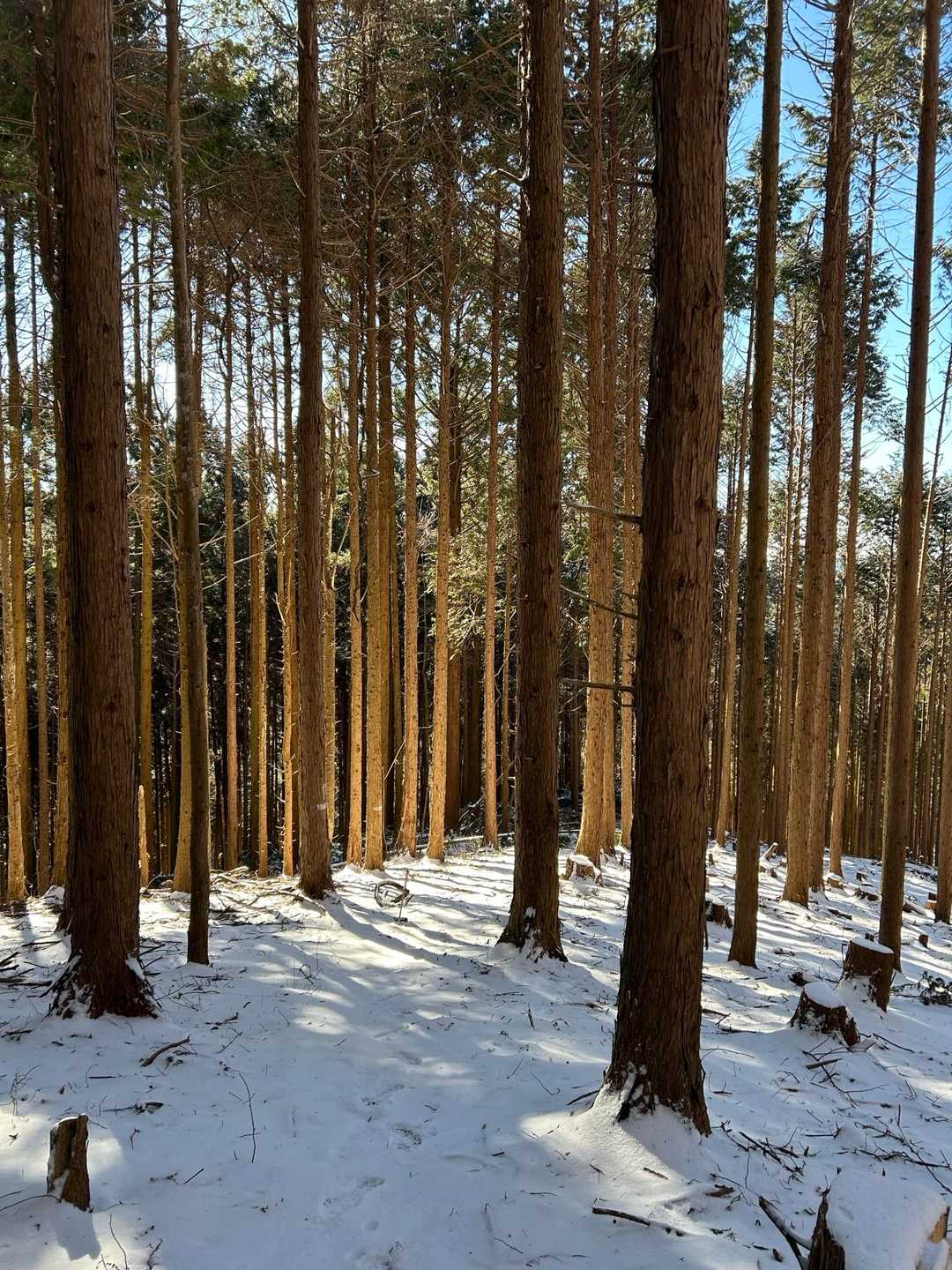 里美富士登山口・薄葉沢の滝入口-おしゃべり地蔵-妙見山-里 周回コースの写真