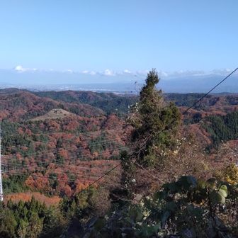猿倉山山頂からの景色
良い天気で見晴らし最高