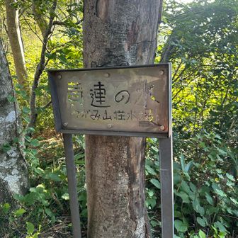 水場
