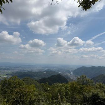 この暑さの下、今日のこの長さをやったのは過去最高記録です🫠