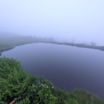 おはようございます。小屋前の池より。日の出を期待していましたが、雲の中です...。