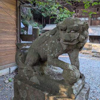 狛犬。玉をコロコロして楽しげな良い顔。