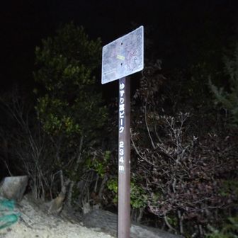 歩き始めてすぐの「ゆずり葉ピーク」
ピーク感は全くなし