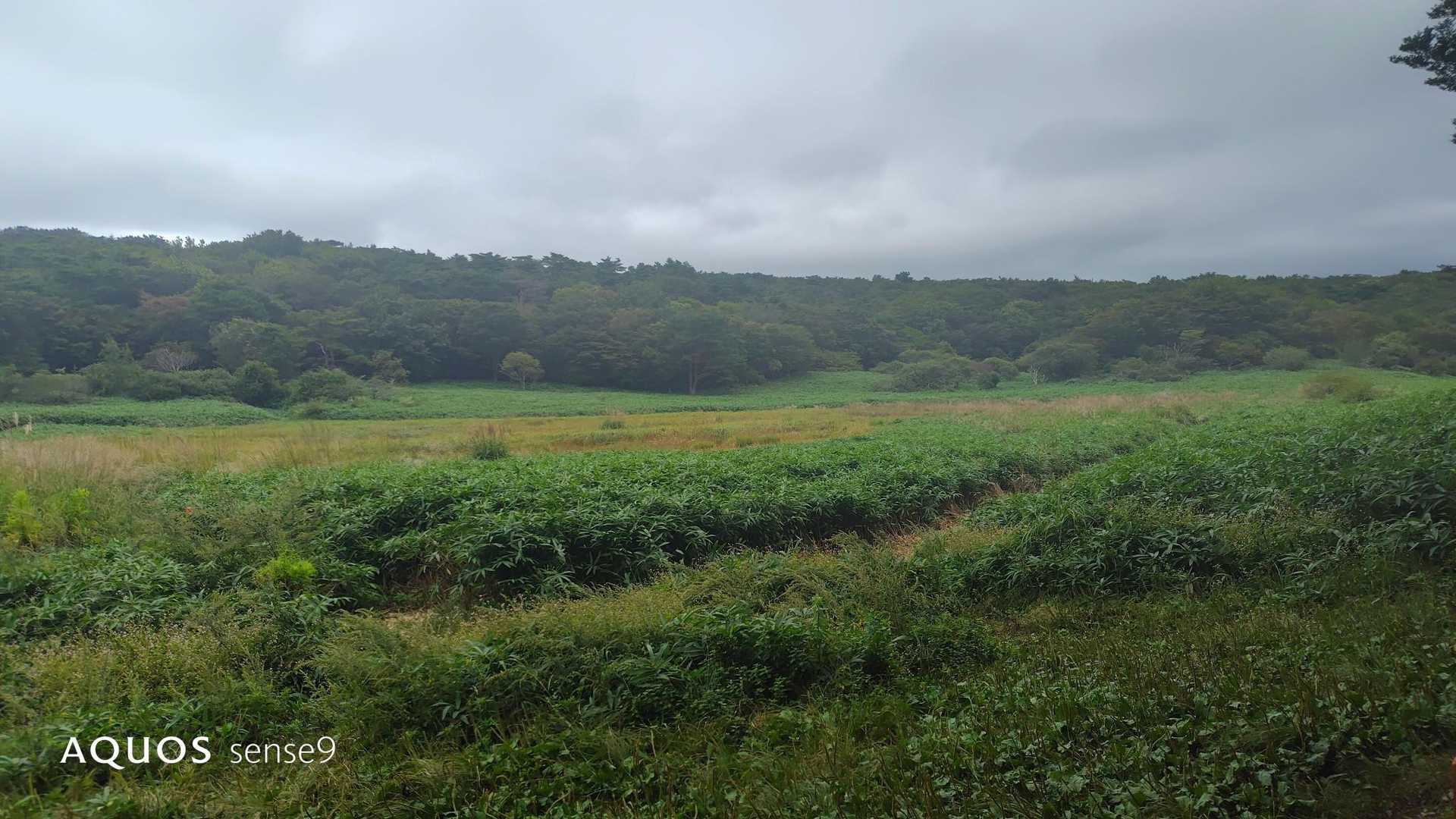 風穴登山口-皿ヶ嶺 周回コースの写真