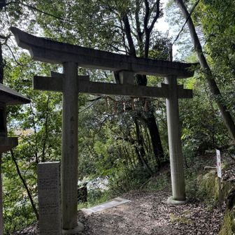 帰ります。