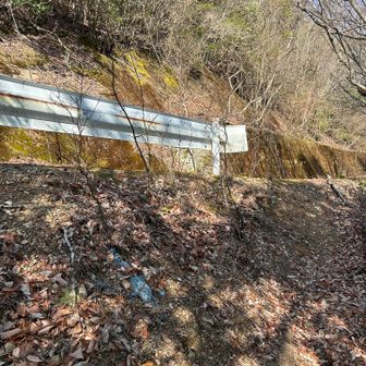 おっと😳林道に出てきました。