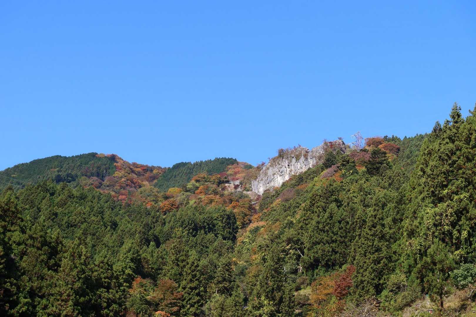 紅葉しています