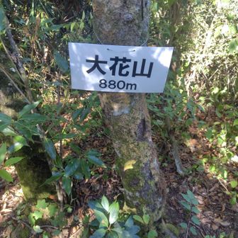 行くつもりなかったけど着いちゃいました😅