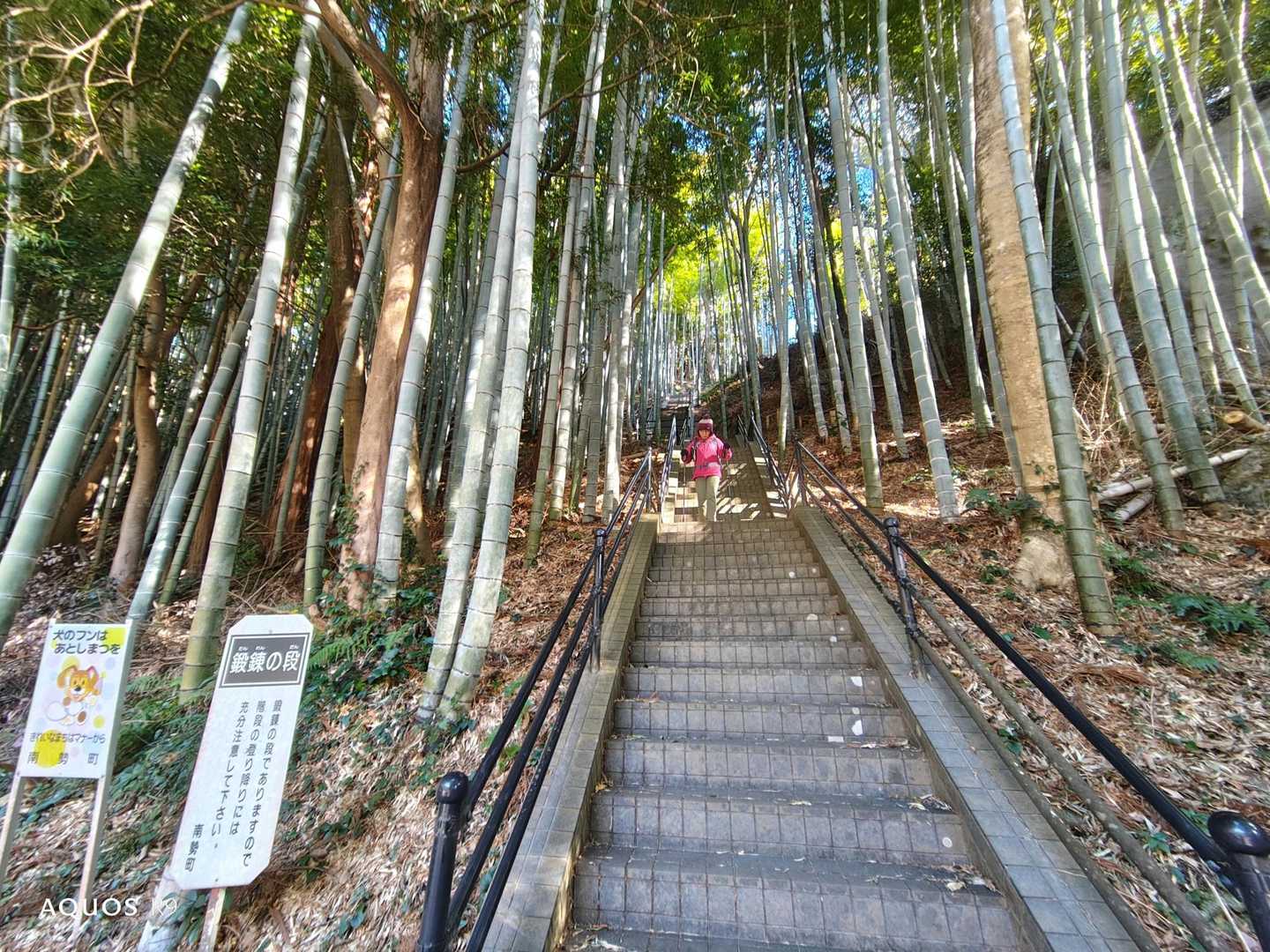 馬山 往復コースの写真