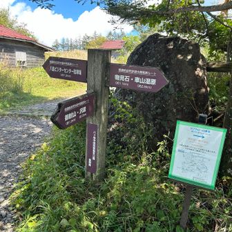 八島ヶ原湿原まできました。蝶々深山には行かないルートで戻ります(友達は蝶々深山に行ったことがなかったので、行けばよかったなとちょっと後悔😓)